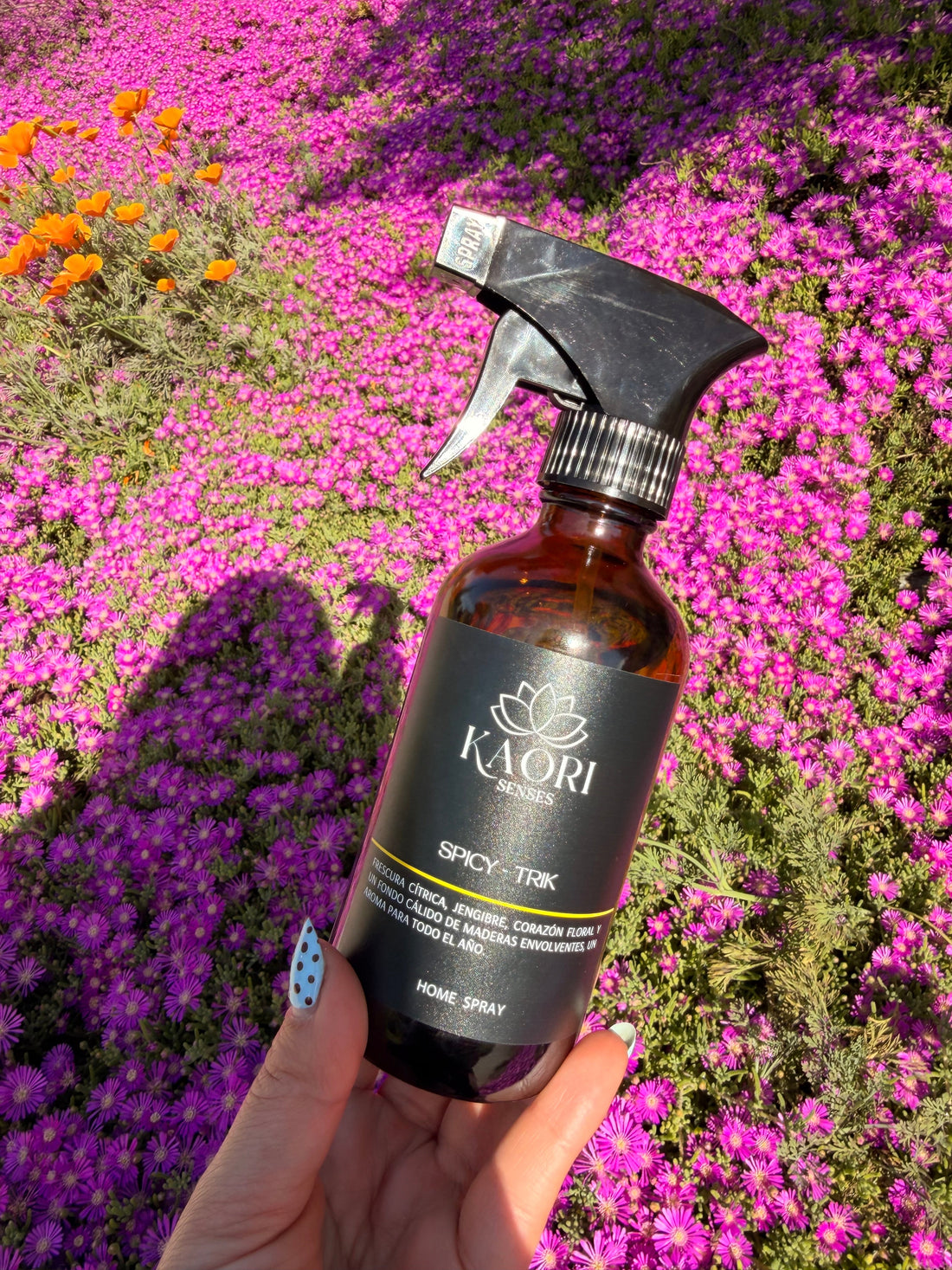 Los mejores tips para tus home spray